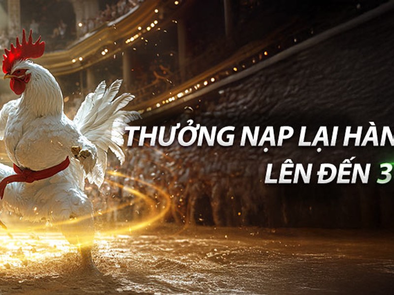 Hoàn trả hàng ngày cho người chơi