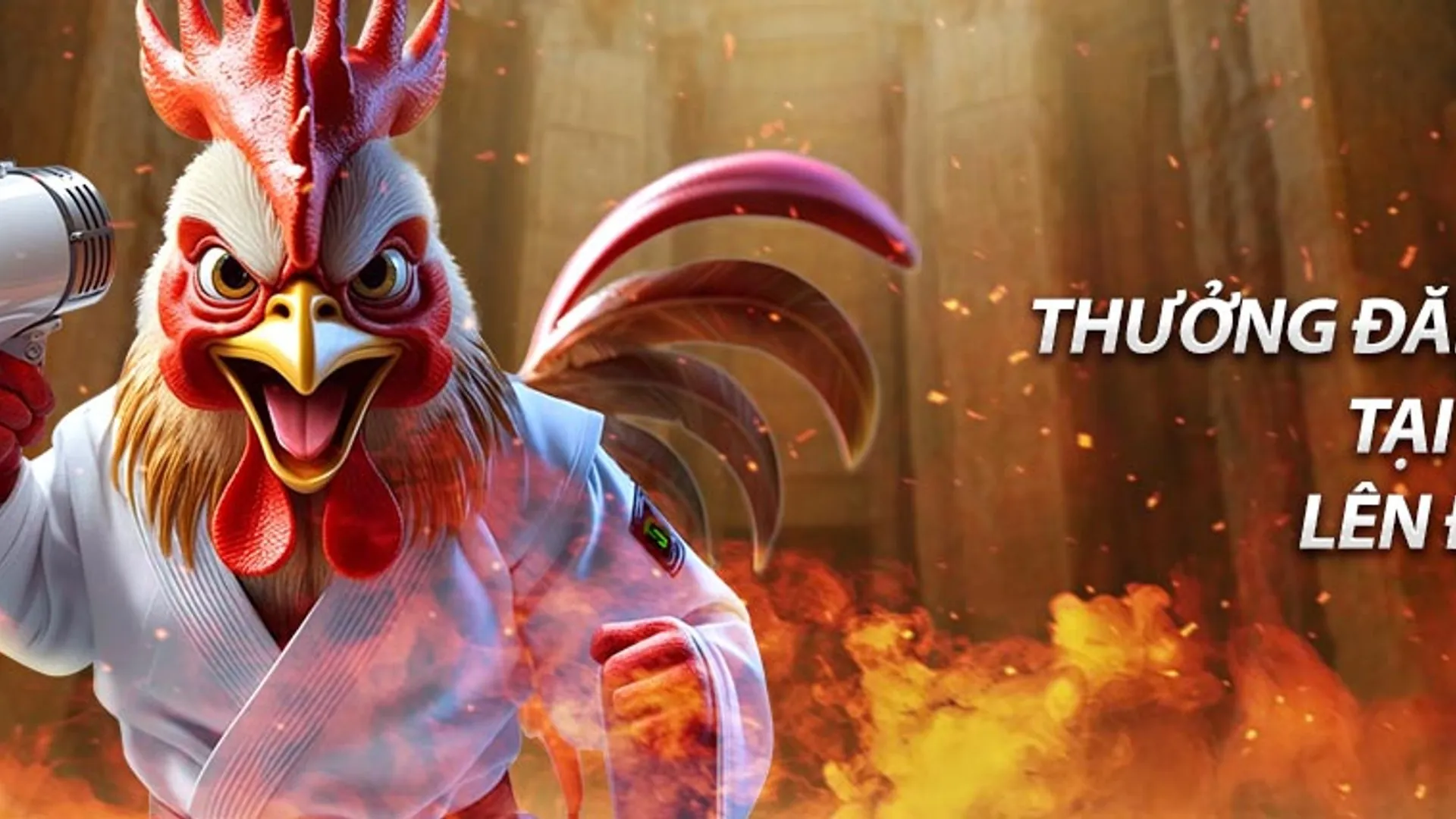 Hình ảnh đại diện cho các điều khoản và điều kiện pháp lý